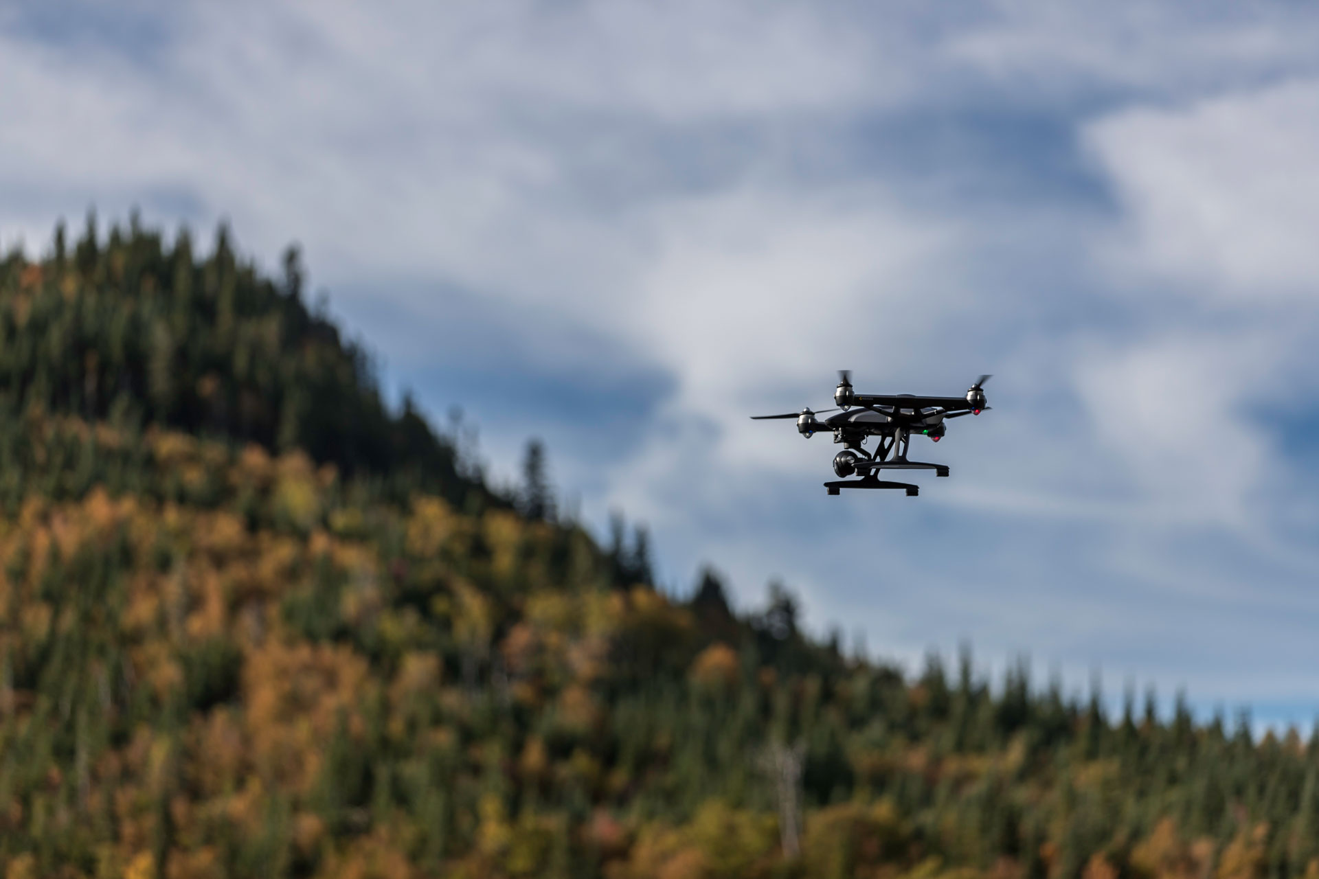 Drohne, die über einen Wald fliegt.